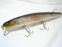 Ghost minnow