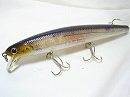 Ghost minnow