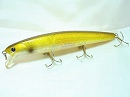Golden shiner