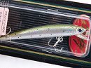 Nijimasu (Rainbow trout)