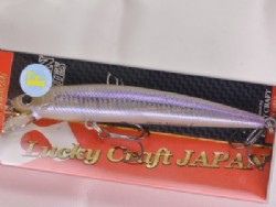 Real sanketsu wakasagi