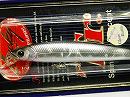 Bait fish silver