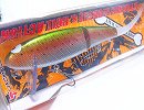 Rainbow trout