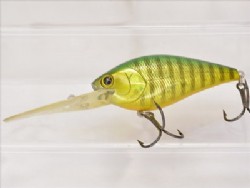 Aurora green perch