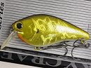 Aurora gold