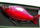 Red shad