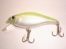 Lime chart back pearl white