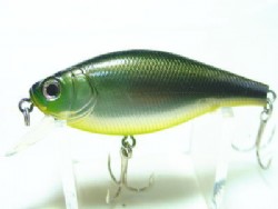 Metallic moroko