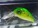 Green frog