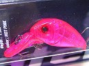 Hot pink