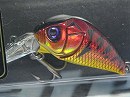 Metallic spawn