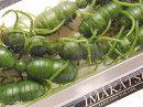 Light watermelon pepper (#S-51)