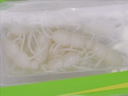 Pearl white (#S-72)