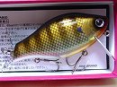 Blue gill