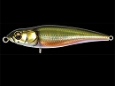 Wagin oikawa male