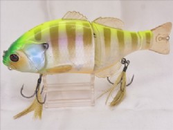 Chart back blue gill