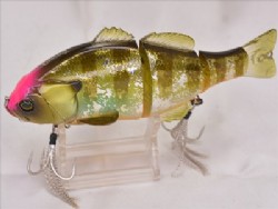 PH gill (Custom color)