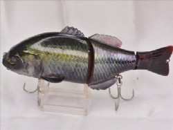 RT black pirarucu
