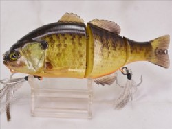 RT noike gill