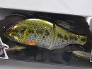 Uroko holo largemouth bass