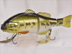 Uroko holo largemouth bass