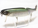 Rainbow trout