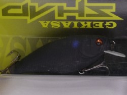 Black raven (#701)