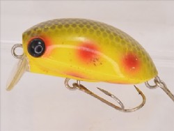 Yellow parrot (Sinking)