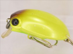 Insect yellow (Sinking)