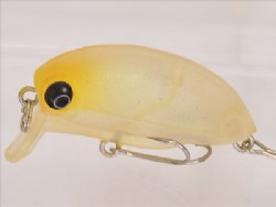 June bug (Floating)