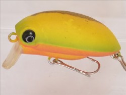 Mango (Floating)