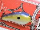 Tidal shad