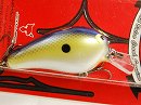 Tidal shad