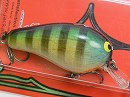 Wood bluegill