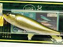Wakin golden shad