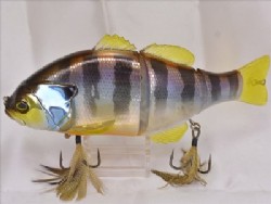 Chart back blue gill