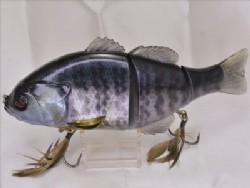RT spawn gill