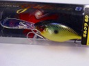 SK Gold shiner