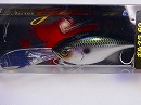 SK Silver shiner