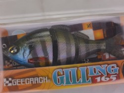 Natural gill