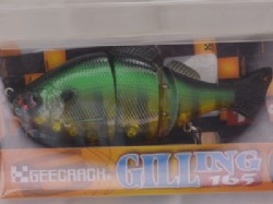 Hot tiger gill