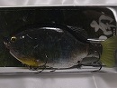 3D Biwako grass gill (Crystal black shell model) (#633)