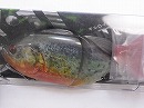 3D Piranha nattereri (#588)