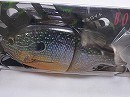 3D Longear sunfish (#604)