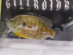 3D female gill (#548)