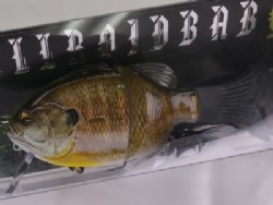 3D high visible female gill (#599)