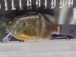 Mihara SP / 3D ghost female gill (#822)