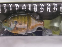 3D male gill (#868)