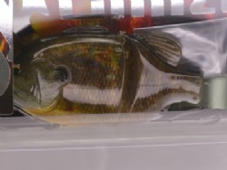 Mihara SP 3D ghost female gill (#822) 