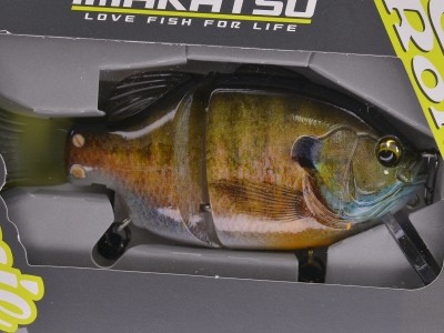 3D male gill (#868)